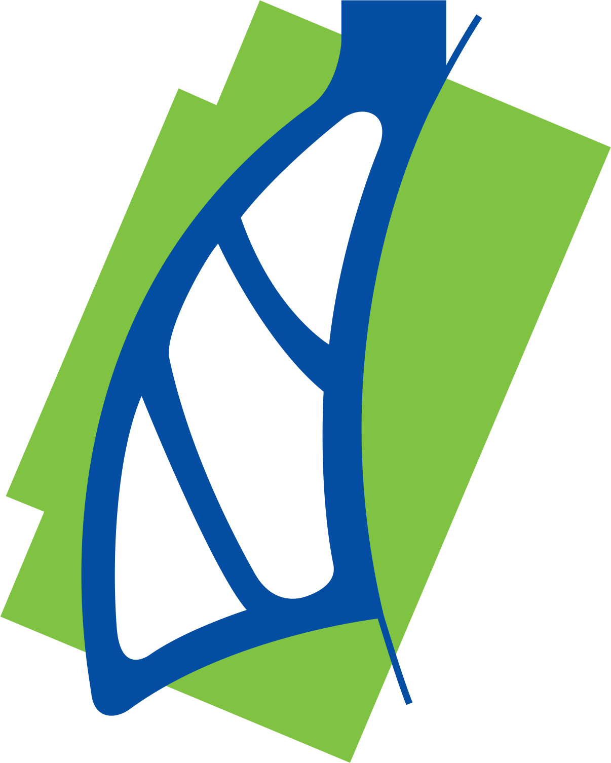 Perkumpulan Dokter Respina Logo